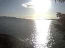 ./images/koeye/fitz-hugh/20220415/fitz-hugh20220415_180002.jpg