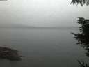./images/koeye/fitz-hugh/20220418/fitz-hugh20220418_060001.jpg