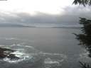 ./images/koeye/fitz-hugh/20220510/fitz-hugh20220510_060002.jpg