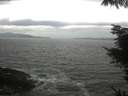 ./images/koeye/fitz-hugh/20220510/fitz-hugh20220510_140002.jpg