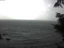 ./images/koeye/fitz-hugh/20220516/fitz-hugh20220516_160002.jpg