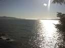 ./images/koeye/fitz-hugh/20220520/fitz-hugh20220520_180001.jpg