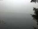 ./images/koeye/fitz-hugh/20220521/fitz-hugh20220521_060002.jpg