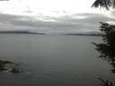 ./images/koeye/fitz-hugh/20220524/fitz-hugh20220524_080002.jpg