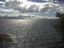 ./images/koeye/fitz-hugh/20220528/fitz-hugh20220528_160001.jpg