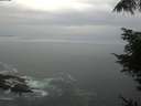 ./images/koeye/fitz-hugh/20220602/fitz-hugh20220602_060001.jpg