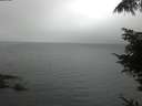 ./images/koeye/fitz-hugh/20220603/fitz-hugh20220603_060001.jpg