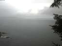 ./images/koeye/fitz-hugh/20220604/fitz-hugh20220604_060001.jpg