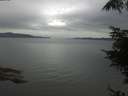 ./images/koeye/fitz-hugh/20220606/fitz-hugh20220606_080001.jpg