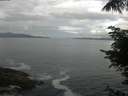 ./images/koeye/fitz-hugh/20220612/fitz-hugh20220612_080002.jpg