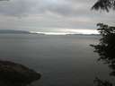 ./images/koeye/fitz-hugh/20220614/fitz-hugh20220614_060001.jpg