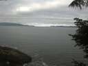 ./images/koeye/fitz-hugh/20220614/fitz-hugh20220614_080002.jpg