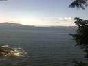 ./images/koeye/fitz-hugh/20220614/fitz-hugh20220614_120001.jpg