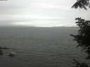 ./images/koeye/fitz-hugh/20220618/fitz-hugh20220618_160001.jpg