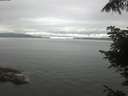 ./images/koeye/fitz-hugh/20220619/fitz-hugh20220619_080002.jpg
