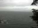 ./images/koeye/fitz-hugh/20220621/fitz-hugh20220621_080001.jpg