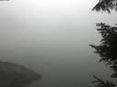 ./images/koeye/fitz-hugh/20220627/fitz-hugh20220627_080001.jpg