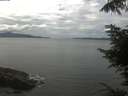 ./images/koeye/fitz-hugh/20220706/fitz-hugh20220706_140001.jpg