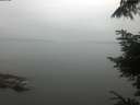 ./images/koeye/fitz-hugh/20220716/fitz-hugh20220716_060001.jpg
