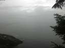./images/koeye/fitz-hugh/20220716/fitz-hugh20220716_080002.jpg