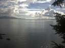 ./images/koeye/fitz-hugh/20220716/fitz-hugh20220716_180001.jpg