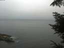 ./images/koeye/fitz-hugh/20220721/fitz-hugh20220721_060001.jpg