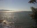 ./images/koeye/fitz-hugh/20220728/fitz-hugh20220728_160001.jpg