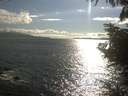 ./images/koeye/fitz-hugh/20220801/fitz-hugh20220801_180002.jpg