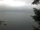 ./images/koeye/fitz-hugh/20220803/fitz-hugh20220803_060002.jpg