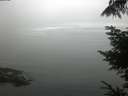 ./images/koeye/fitz-hugh/20220803/fitz-hugh20220803_080002.jpg
