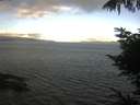 ./images/koeye/fitz-hugh/20220804/fitz-hugh20220804_080001.jpg