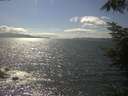 ./images/koeye/fitz-hugh/20220804/fitz-hugh20220804_160001.jpg
