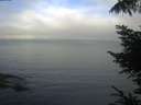 ./images/koeye/fitz-hugh/20220806/fitz-hugh20220806_080002.jpg