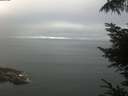 ./images/koeye/fitz-hugh/20220807/fitz-hugh20220807_080002.jpg