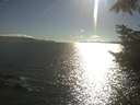 ./images/koeye/fitz-hugh/20220807/fitz-hugh20220807_180002.jpg