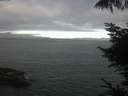 ./images/koeye/fitz-hugh/20220808/fitz-hugh20220808_080001.jpg