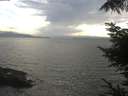 ./images/koeye/fitz-hugh/20220810/fitz-hugh20220810_180001.jpg