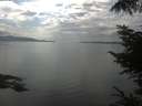 ./images/koeye/fitz-hugh/20220811/fitz-hugh20220811_160002.jpg