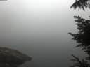 ./images/koeye/fitz-hugh/20220812/fitz-hugh20220812_060001.jpg