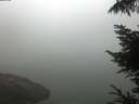 ./images/koeye/fitz-hugh/20220812/fitz-hugh20220812_080001.jpg