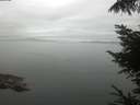 ./images/koeye/fitz-hugh/20220812/fitz-hugh20220812_120001.jpg