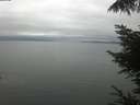 ./images/koeye/fitz-hugh/20220812/fitz-hugh20220812_140001.jpg