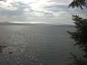 ./images/koeye/fitz-hugh/20220812/fitz-hugh20220812_160002.jpg