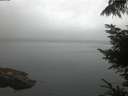 ./images/koeye/fitz-hugh/20220813/fitz-hugh20220813_060002.jpg