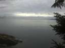 ./images/koeye/fitz-hugh/20220815/fitz-hugh20220815_080002.jpg