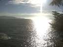 ./images/koeye/fitz-hugh/20220818/fitz-hugh20220818_180001.jpg