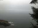 ./images/koeye/fitz-hugh/20220821/fitz-hugh20220821_060002.jpg
