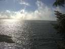 ./images/koeye/fitz-hugh/20220823/fitz-hugh20220823_160002.jpg