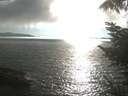 ./images/koeye/fitz-hugh/20220824/fitz-hugh20220824_180001.jpg
