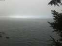./images/koeye/fitz-hugh/20220825/fitz-hugh20220825_140001.jpg